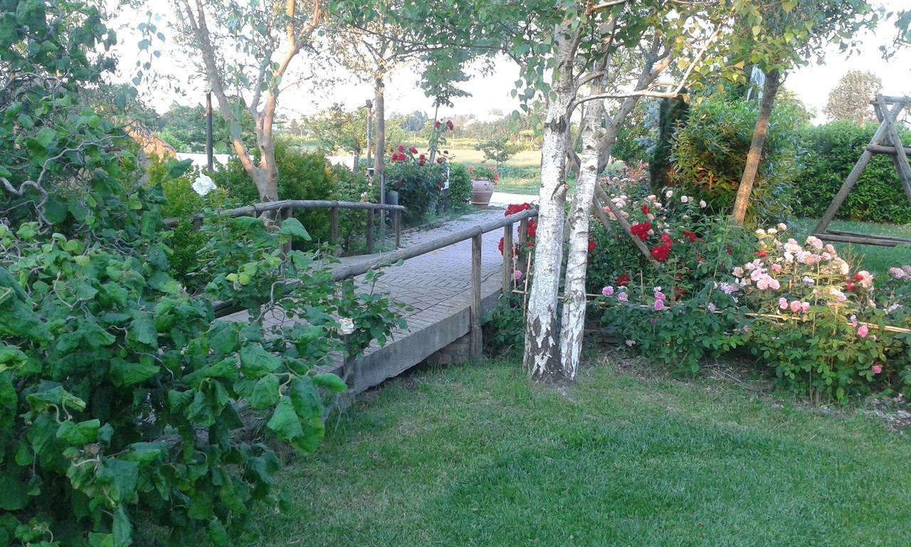 Fattoria Belvedere Bellaria-Igea Marina Bagian luar foto