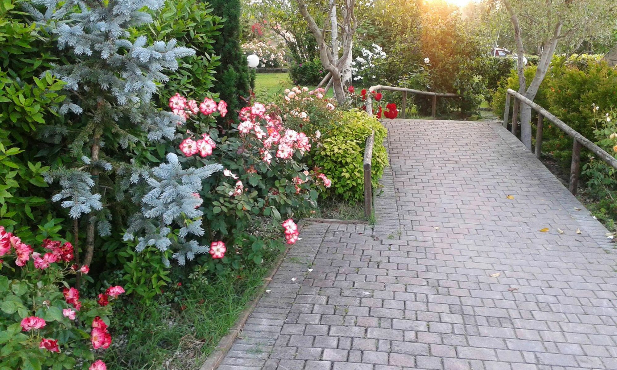 Fattoria Belvedere Bellaria-Igea Marina Bagian luar foto