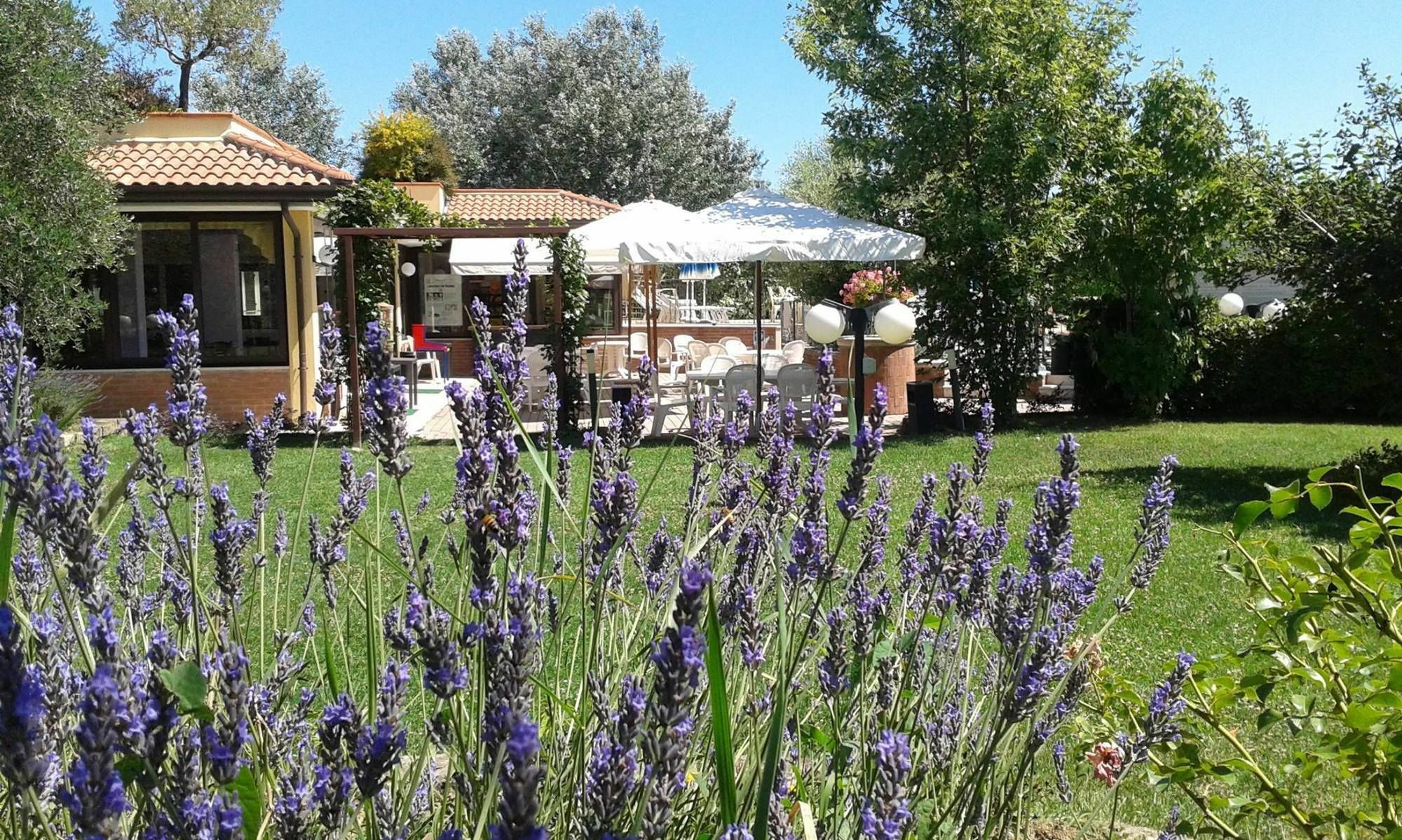 Fattoria Belvedere Bellaria-Igea Marina Bagian luar foto