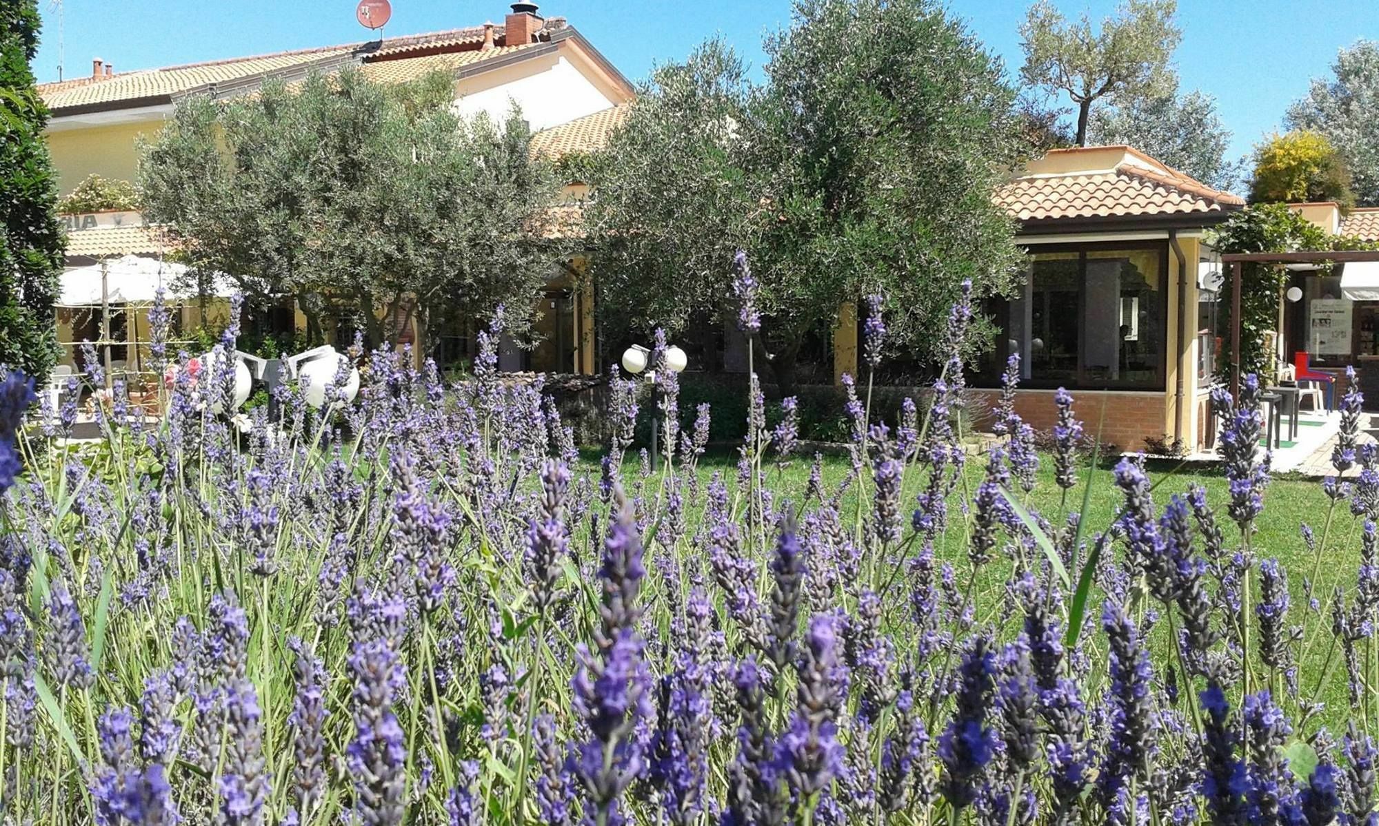 Fattoria Belvedere Bellaria-Igea Marina Bagian luar foto